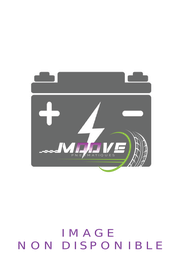[BAT-0072] BATTERIE POWER MAXX EAS 12V 100AH - 760A + A DROITE